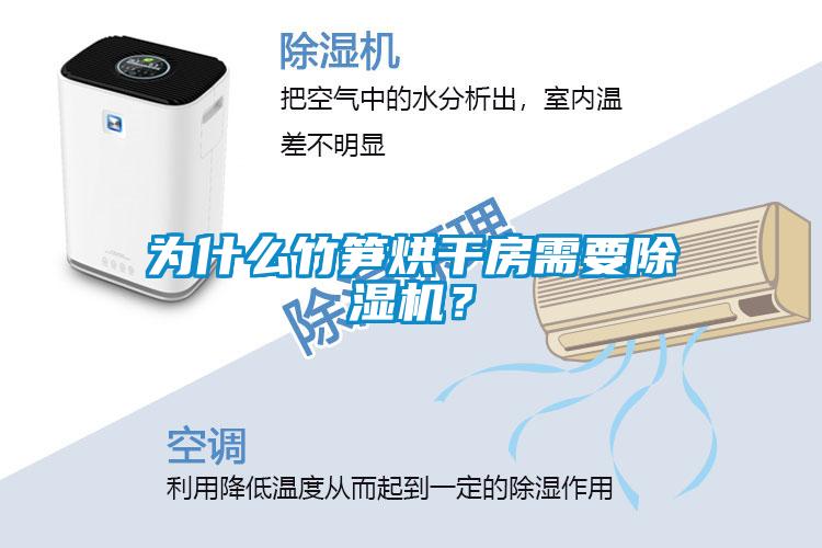 為什么竹筍烘干房需要除濕機(jī)？