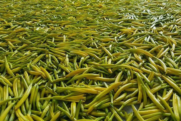 無硫金針菜烘干如何保持品相？不發(fā)黑？