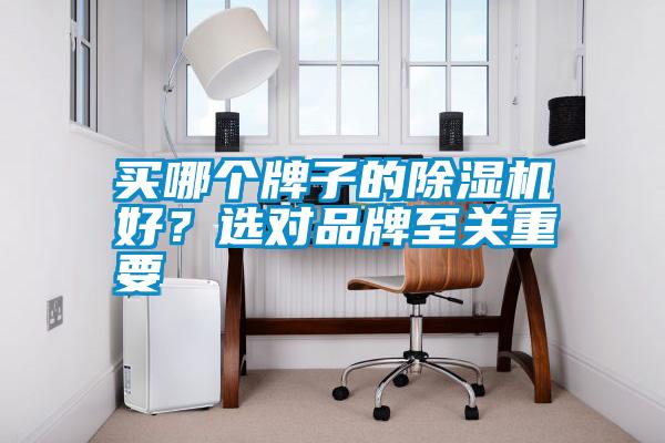 買哪個牌子的除濕機好？選對品牌至關重要