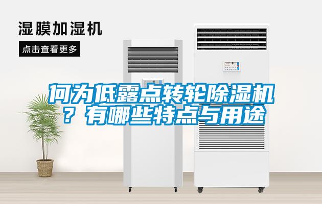 何為低露點轉輪除濕機？有哪些特點與用途