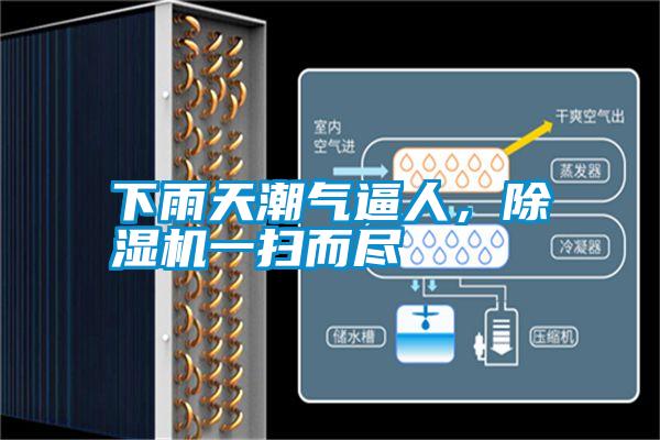 下雨天潮氣逼人，除濕機(jī)一掃而盡