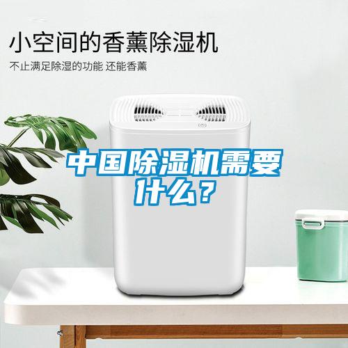 中國(guó)除濕機(jī)需要什么？