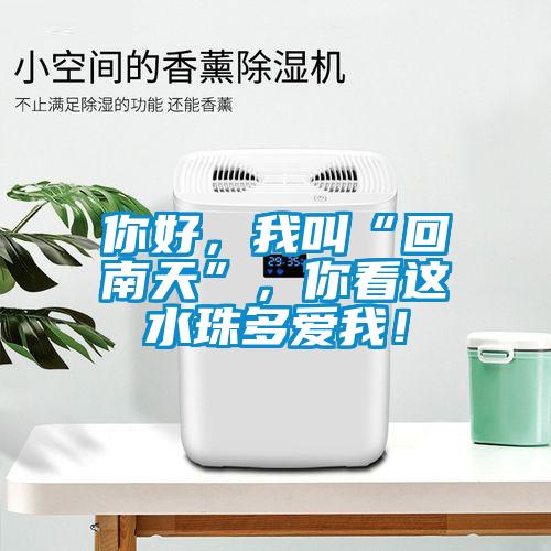 你好，我叫“回南天”，你看這水珠多愛我！