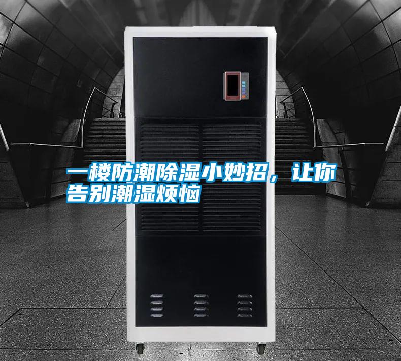 一樓防潮除濕小妙招，讓你告別潮濕煩惱