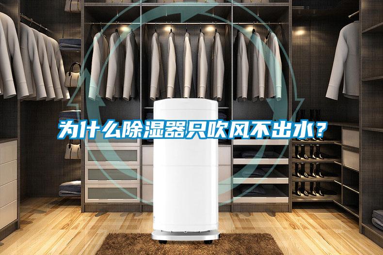 為什么除濕器只吹風(fēng)不出水？