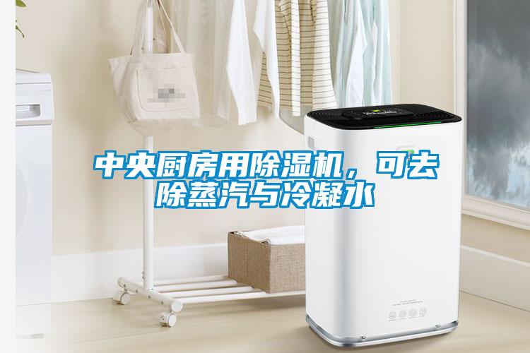 中央廚房用除濕機，可去除蒸汽與冷凝水