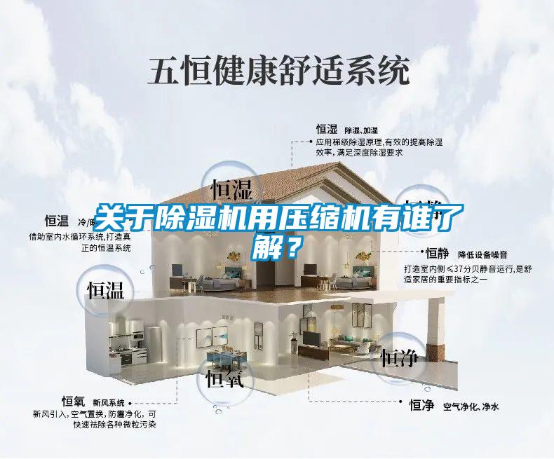 關(guān)于除濕機用壓縮機有誰了解？