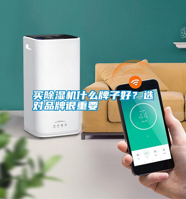 買除濕機什么牌子好？選對品牌很重要