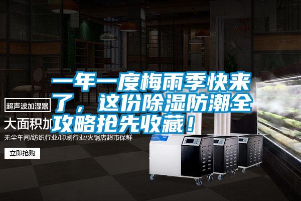 一年一度梅雨季快來了，這份除濕防潮全攻略搶先收藏！