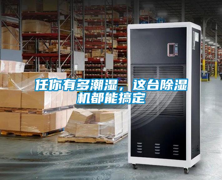 任你有多潮濕，這臺除濕機都能搞定