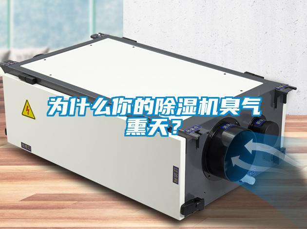 為什么你的除濕機臭氣熏天？