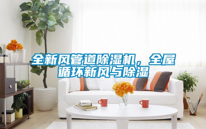 全新風(fēng)管道除濕機(jī)，全屋循環(huán)新風(fēng)與除濕