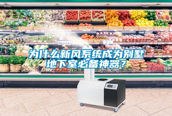 為什么新風系統(tǒng)成為別墅地下室必備神器？