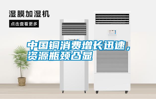 中國銅消費增長迅速，資源瓶頸凸顯