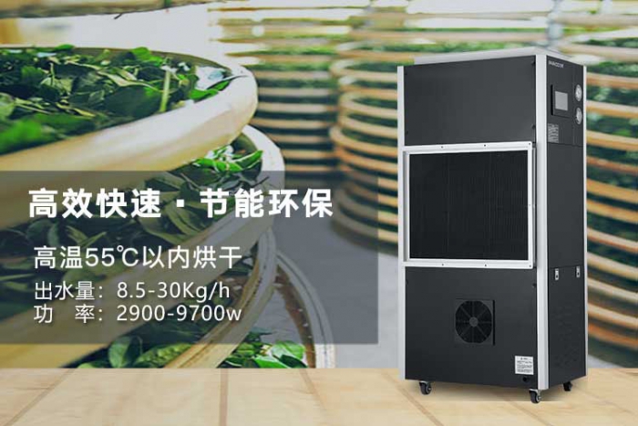 潮濕天氣來(lái)襲，螨蟲(chóng)爆滿床！