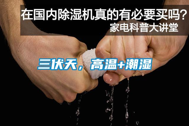 三伏天，高溫+潮濕