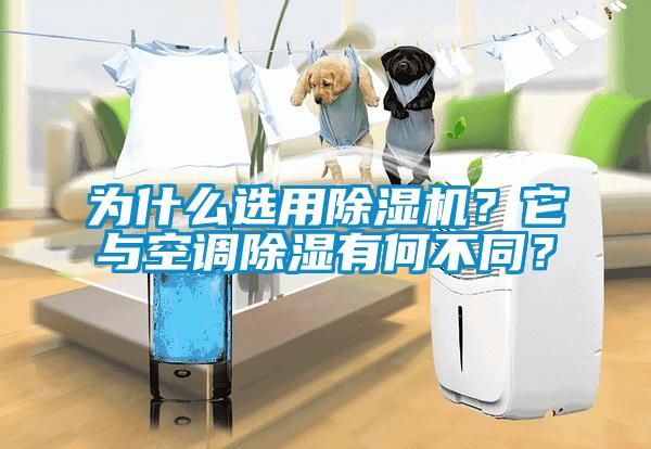 為什么選用除濕機(jī)？它與空調(diào)除濕有何不同？