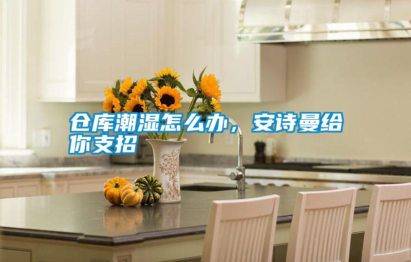 倉(cāng)庫(kù)潮濕怎么辦，安詩(shī)曼給你支招