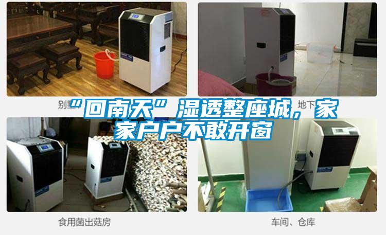 “回南天”濕透整座城，家家戶戶不敢開(kāi)窗
