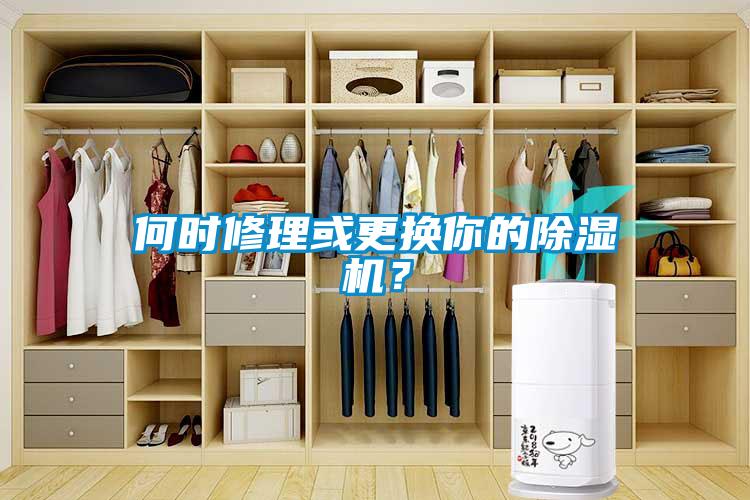 何時(shí)修理或更換你的除濕機(jī)？