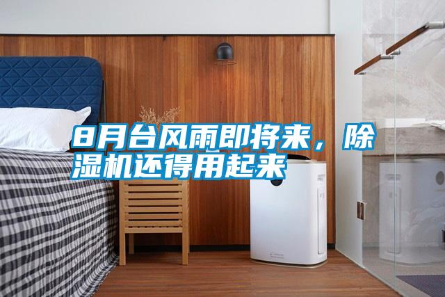 8月臺(tái)風(fēng)雨即將來，除濕機(jī)還得用起來