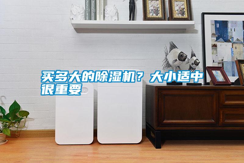 買多大的除濕機？大小適中很重要