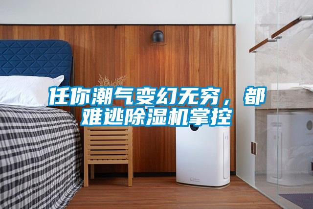 任你潮氣變幻無窮，都難逃除濕機掌控