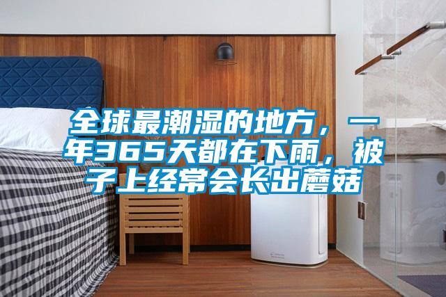 全球最潮濕的地方，一年365天都在下雨，被子上經(jīng)常會(huì)長(zhǎng)出蘑菇