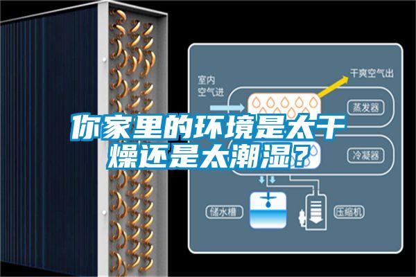你家里的環(huán)境是太干燥還是太潮濕？
