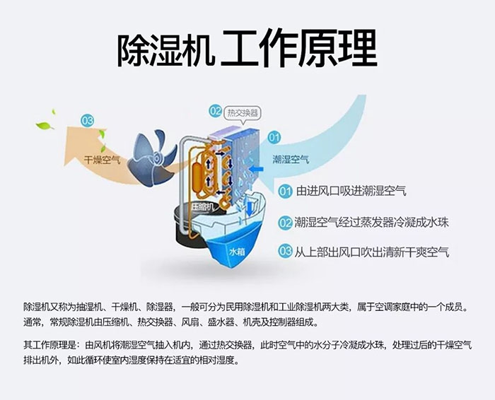 南方梅雨季到了房屋墻壁滲水、返潮怎么辦？