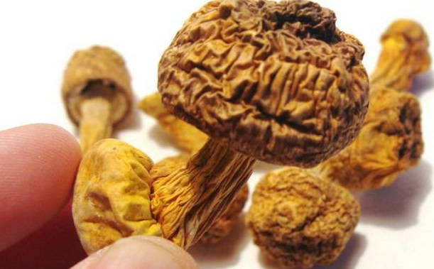巴西菇、姬松茸烘干機(jī)-怎樣烘干色澤好且菇體褶片完整？