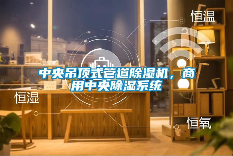 中央吊頂式管道除濕機，商用中央除濕系統(tǒng)