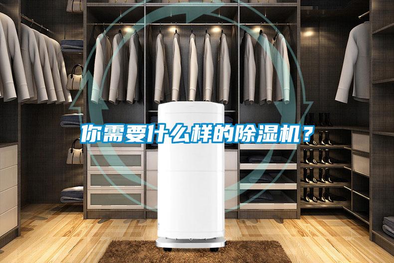 你需要什么樣的除濕機(jī)？