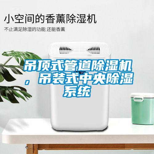 吊頂式管道除濕機(jī)，吊裝式中央除濕系統(tǒng)