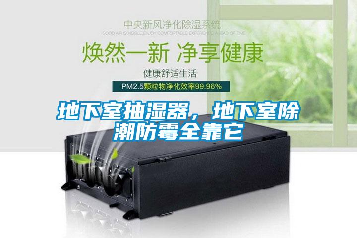 地下室抽濕器，地下室除潮防霉全靠它