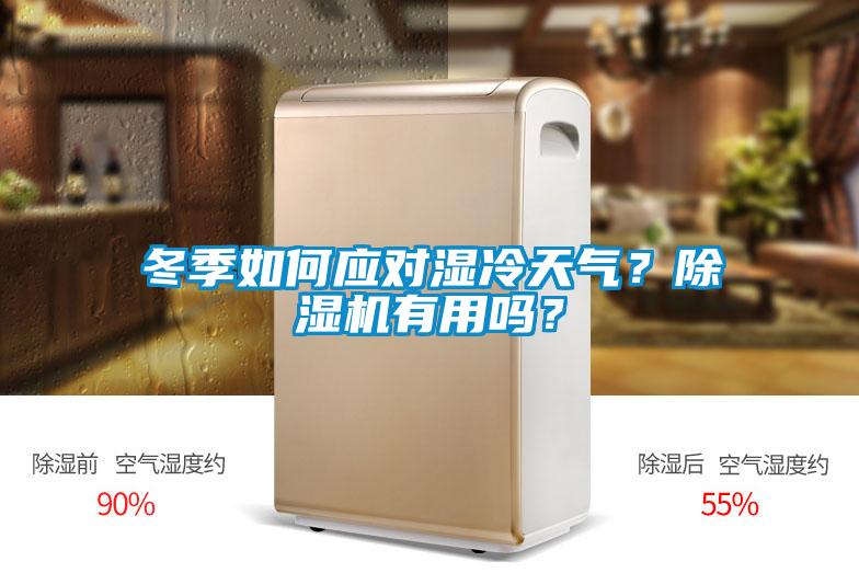 冬季如何應(yīng)對濕冷天氣？除濕機有用嗎？