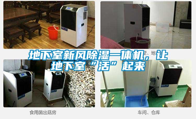 地下室新風(fēng)除濕一體機(jī)，讓地下室“活”起來