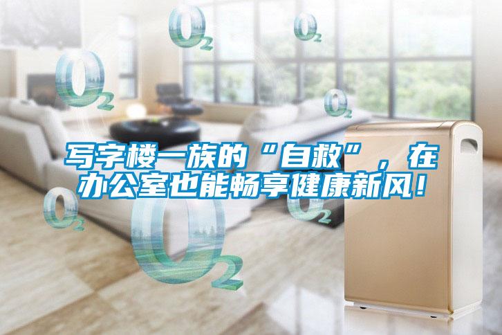 寫字樓一族的“自救”，在辦公室也能暢享健康新風！