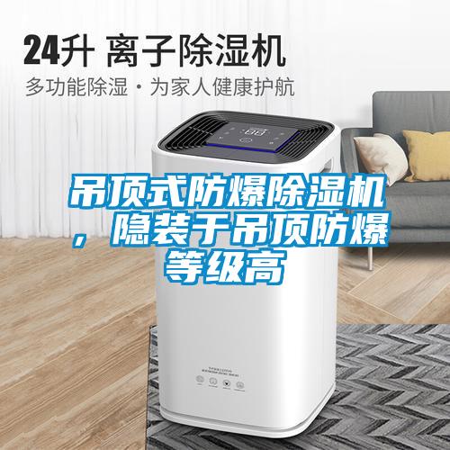 吊頂式防爆除濕機(jī)，隱裝于吊頂防爆等級(jí)高