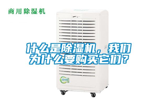 什么是除濕機(jī)，我們?yōu)槭裁匆?gòu)買它們？