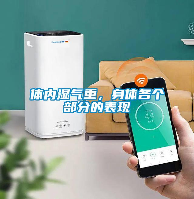 體內(nèi)濕氣重，身體各個部分的表現(xiàn)