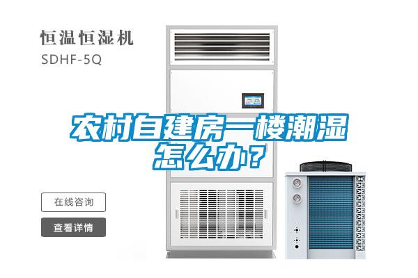 農(nóng)村自建房一樓潮濕怎么辦？