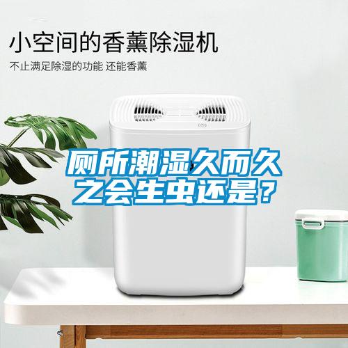 廁所潮濕久而久之會(huì)生蟲還是？