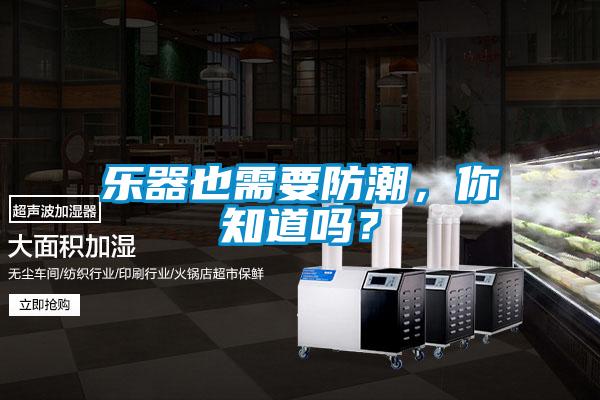 樂(lè)器也需要防潮，你知道嗎？
