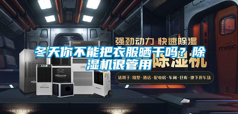 冬天你不能把衣服曬干嗎？除濕機很管用