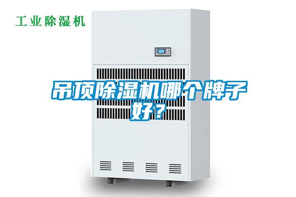 吊頂除濕機(jī)哪個(gè)牌子好？