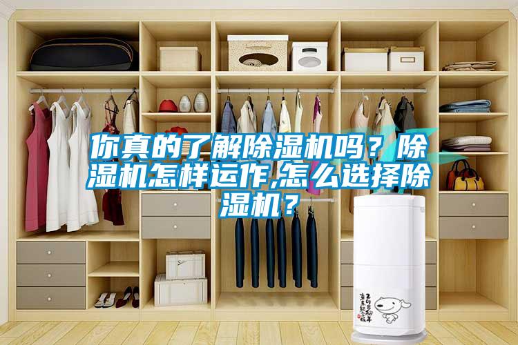 你真的了解除濕機(jī)嗎？除濕機(jī)怎樣運(yùn)作,怎么選擇除濕機(jī)？