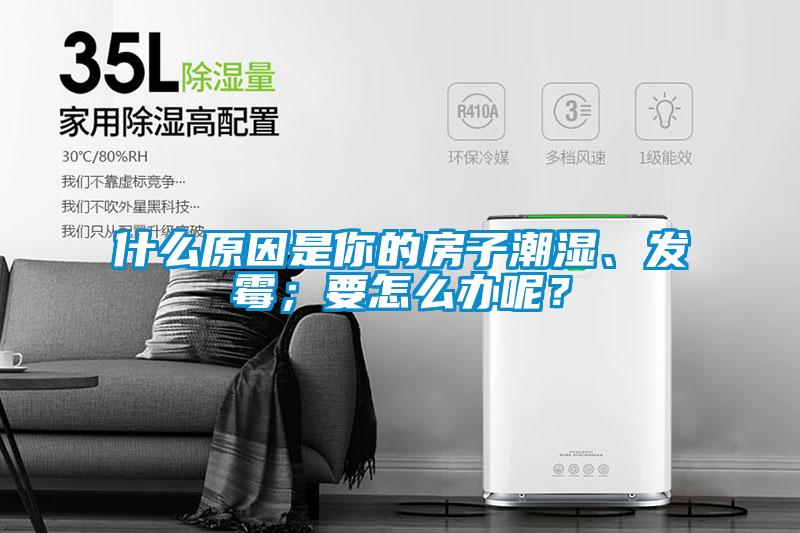 什么原因是你的房子潮濕、發(fā)霉；要怎么辦呢？