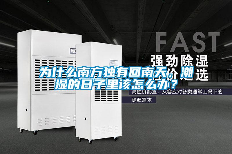 為什么南方獨有回南天，潮濕的日子里該怎么辦？