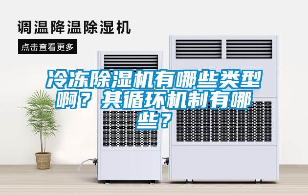 冷凍除濕機有哪些類型?。科溲h(huán)機制有哪些？
